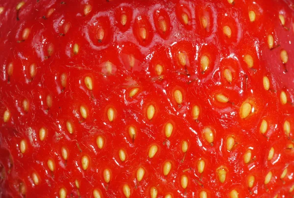 딸기의 배경 — 스톡 사진