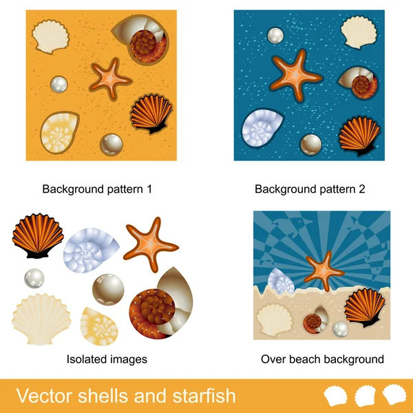 Conchas y estrellas de mar — Archivo Imágenes Vectoriales