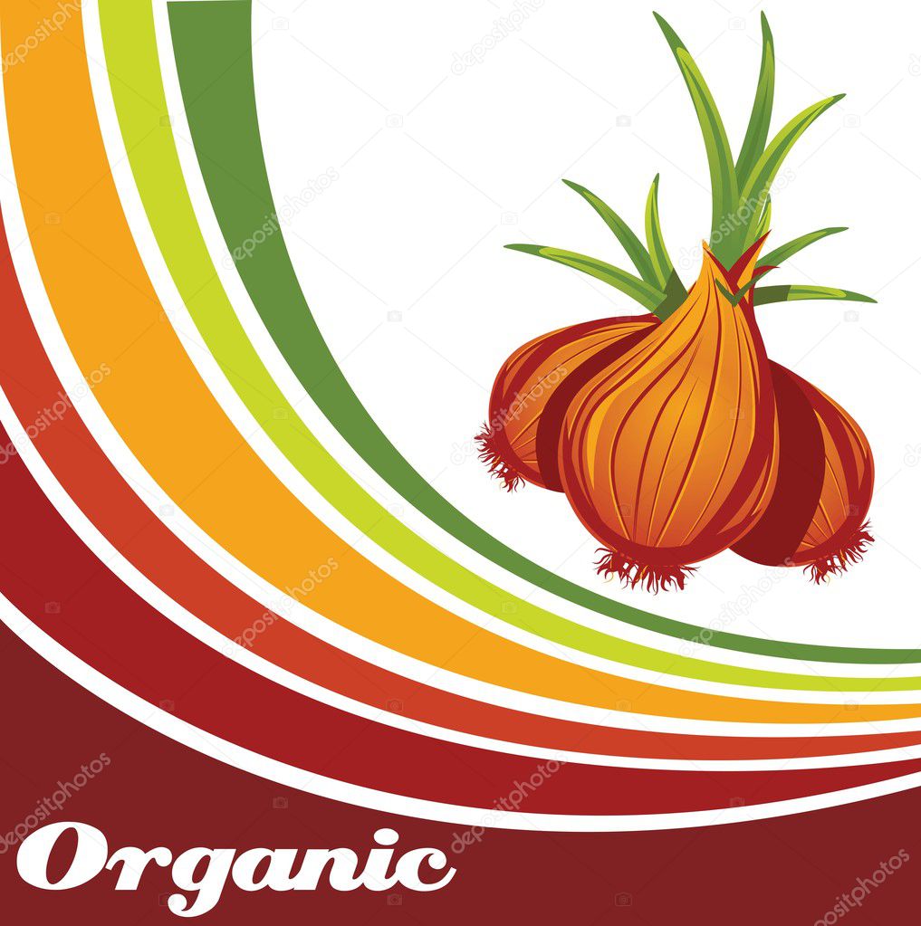 Onion - Organic food background