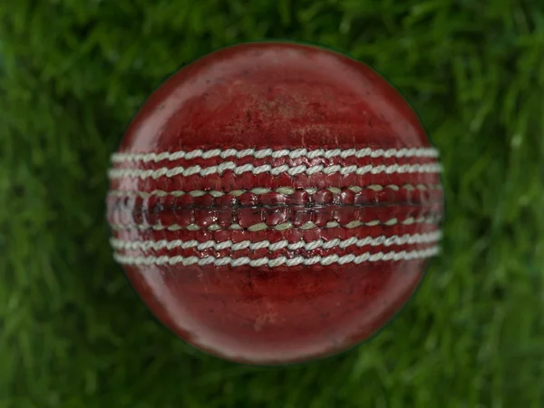 Cricket — Stockfoto