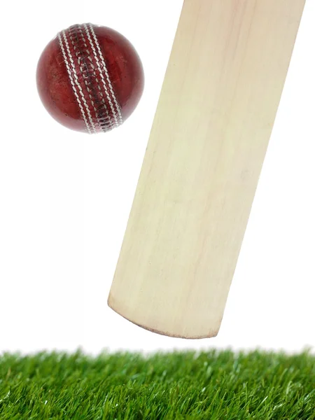 Kriket — Stock fotografie