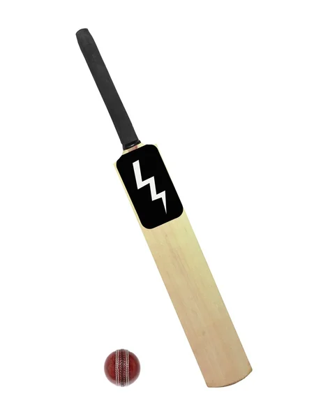 stock image Cricket