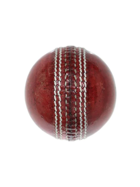 Stock image Cricket