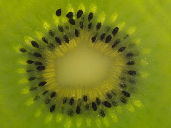 stock image Kiwi Fruit