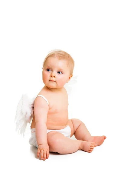 Şirin Bebek Melek kanatları üzerinde beyaz izole — Stok fotoğraf