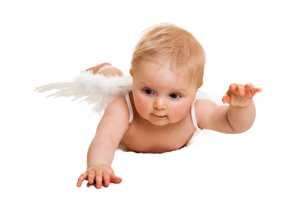 Χαριτωμένο βρέφος Άγγελος με φτερά που απομονώνονται σε λευκό — Φωτογραφία Αρχείου