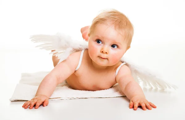 Aranyos csecsemő angyal elszigetelt fehér szárnyakkal — Stock Fotó