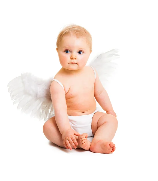 Cute infant angel with wings isolated on white Royalty Free Stock Images