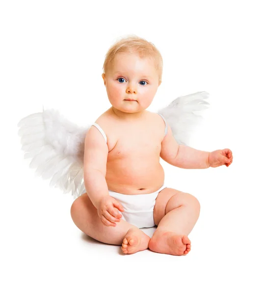 Cute infant angel with wings isolated on white Stock Image