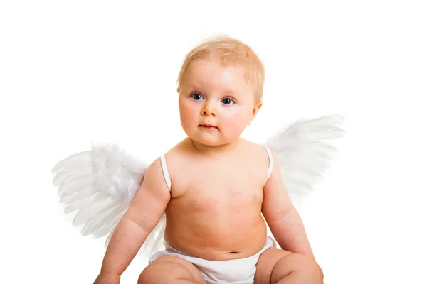 Cute infant angel with wings isolated on white Stock Picture