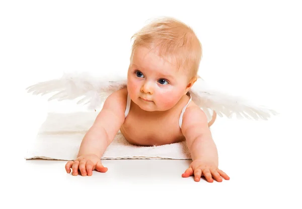 Cute infant angel with wings isolated on white Stock Picture