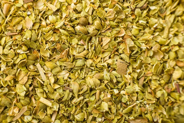 stock image Closeup of oregano spice