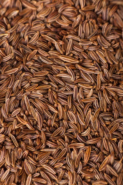 Stock image Closeup of caraway-seeds