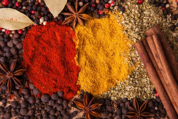 Primo piano di spezie composizione, anice, cannella, paprica, curry, pepe — Foto Stock