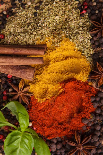 Baharat kompozisyonu, anason, tarçın, paprica, closeup köri, pepper — Stok fotoğraf