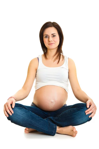 Bruna incinta isolata su bianco — Foto Stock