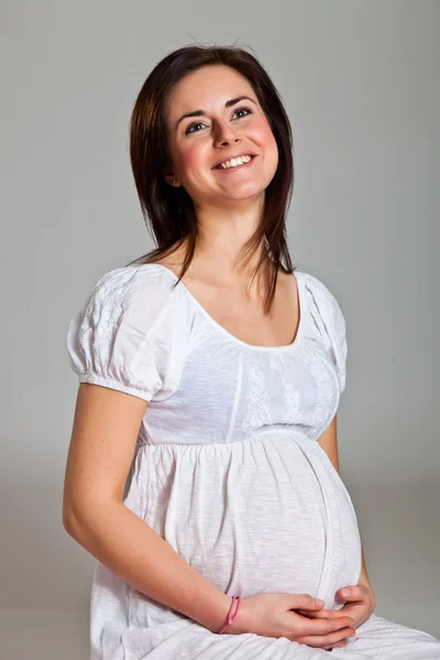 중립 배경에 임신 갈색 — 스톡 사진