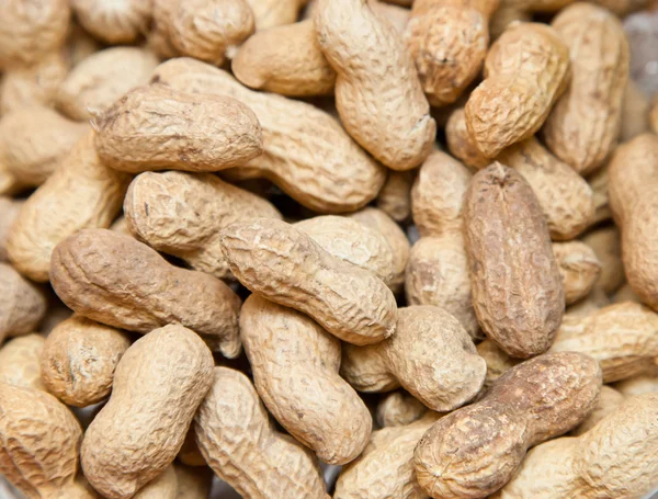 Stock image Peanuts