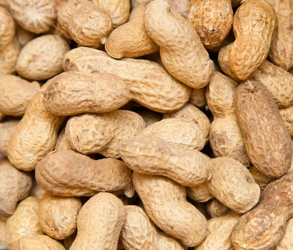 stock image Peanuts