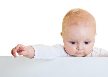 Isolated beaufiful caucasian infant baby behind whiteboard clipart