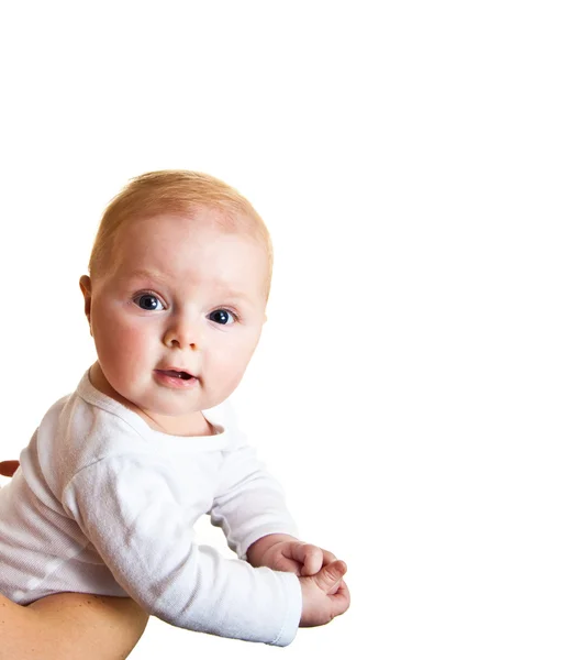 Isolierte kaukasische Säuglinge hinter Whiteboard — Stockfoto