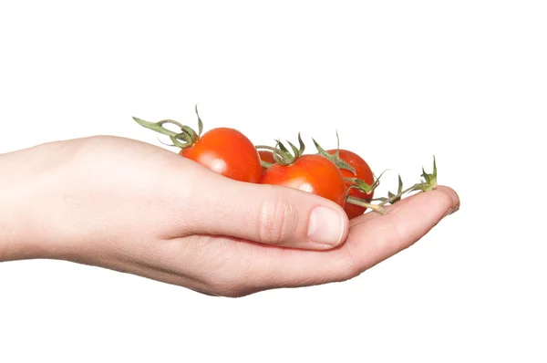 Mulher mão segurando pequenos tomates — Fotografia de Stock