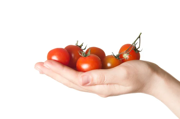 Kvinna hand innehav små tomater — Stockfoto