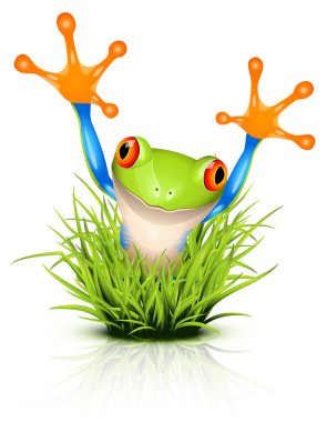 Little tree frog on grass clipart