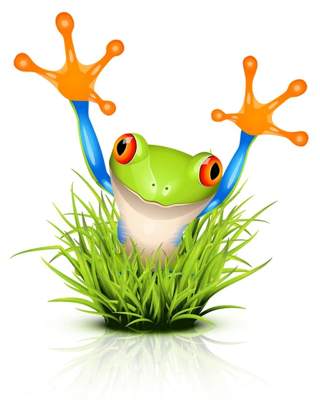 Małe drzewo żaba na trawie — Wektor stockowy