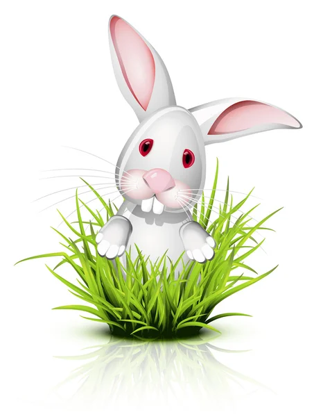 Little rabbit on grass — Stock Vector