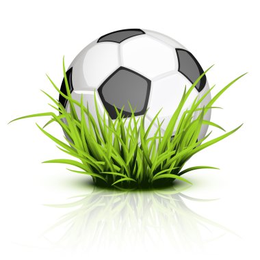 Futbol topu çim yansıtan üzerinde