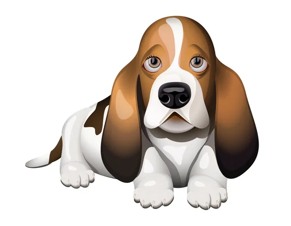 Basset Hound Puppy Lying Floor — Stock Vector