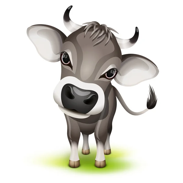 Pequeña vaca suiza — Vector de stock