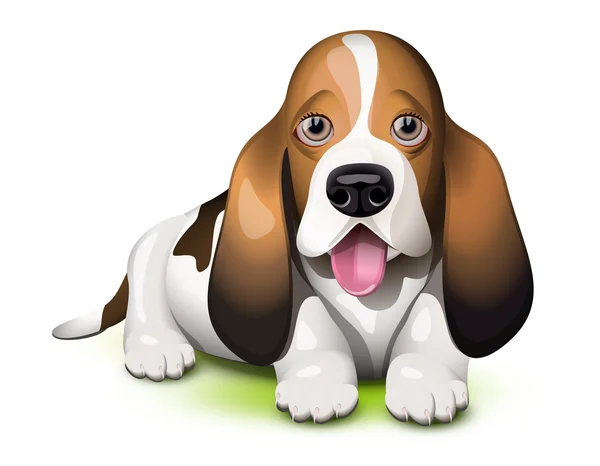 Cachorro Basset Hound — Vector de stock