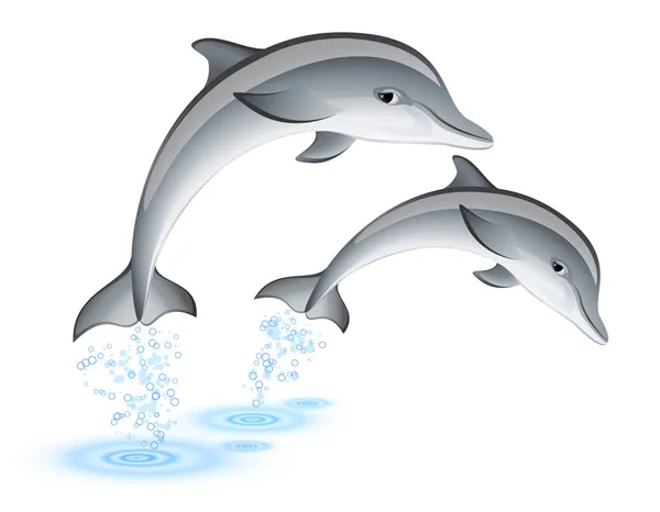 Springen van dolfijnen — Stockvector