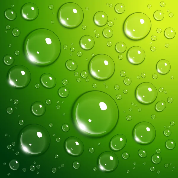 Vatten droppar på gröna — Stock vektor