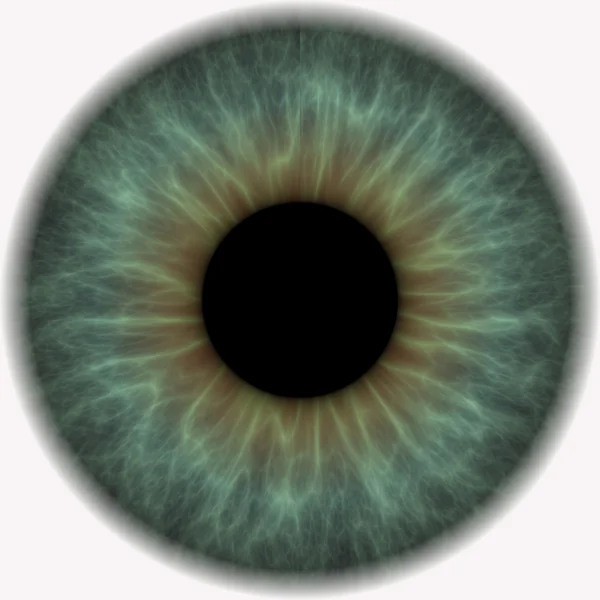 Gray blue eye ball — Stock Photo, Image