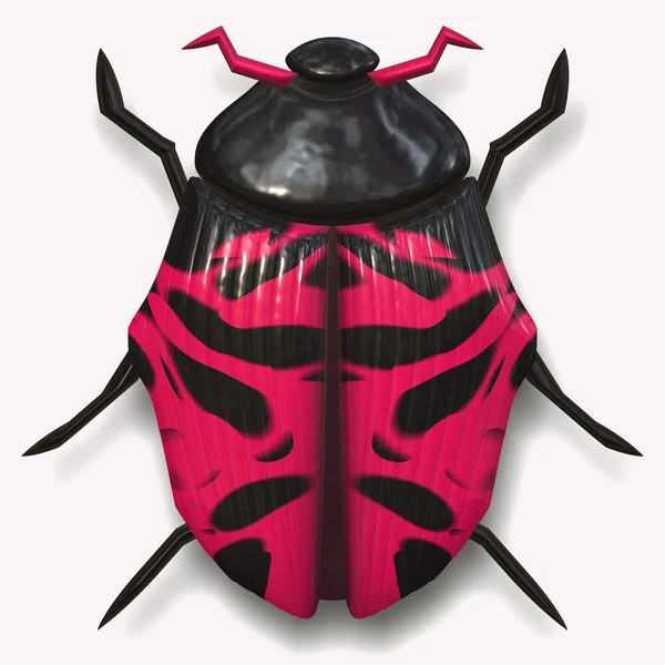 Big pink ladybird beetle — Stock Photo, Image
