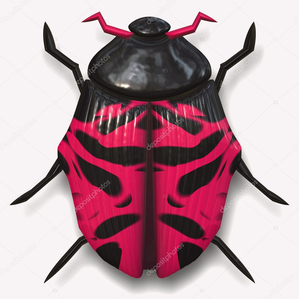 Big pink ladybird beetle