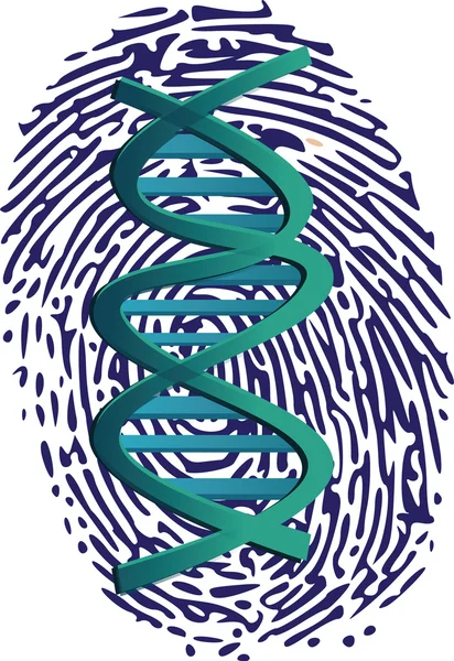 stock vector Dna imprint on thumbprint