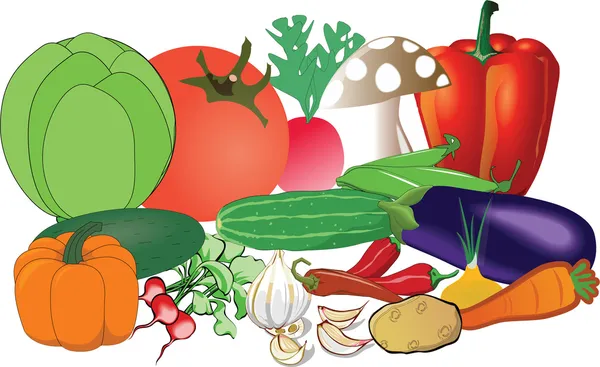 Recogida de hortalizas frescas — Vector de stock