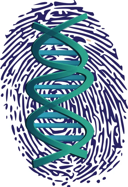 Impression ADN sur l'empreinte du pouce — Image vectorielle