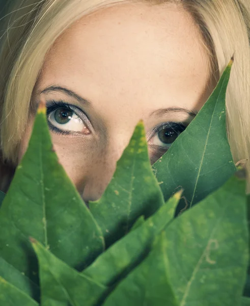 Leaves face — Stockfoto