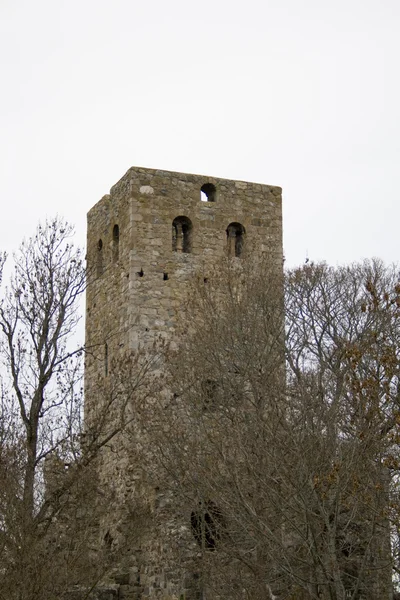 Средневековый замок в Швеции — Stockfoto
