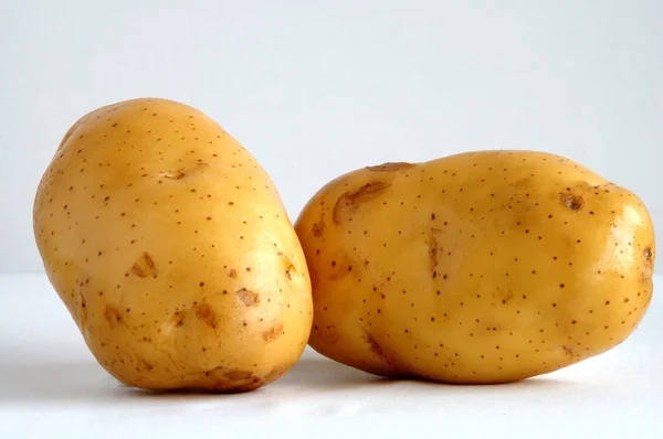 Två potatis — Stockfoto