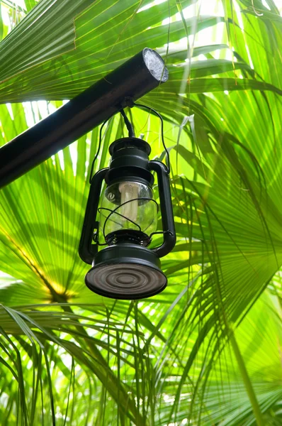 Lantern in lush green garden — Stock Photo, Image