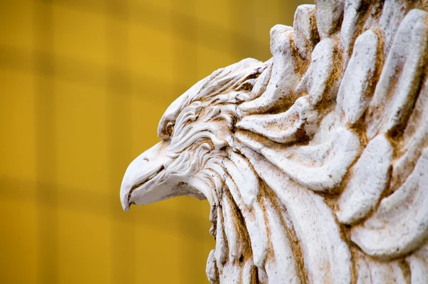 El primer plano de tallar águila — Foto de Stock
