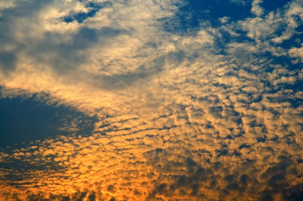 무성 한 하늘 — 스톡 사진