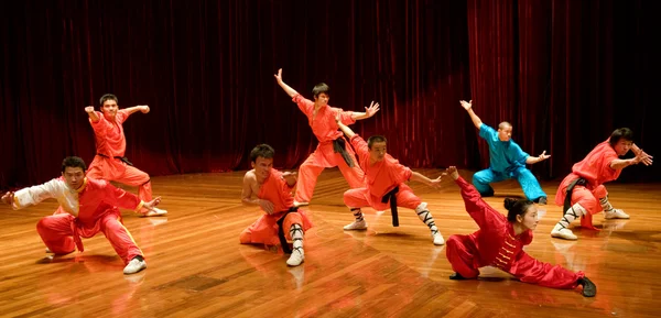 Chinese kung fu — Stockfoto