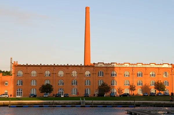 Pomnik w aveiro — Zdjęcie stockowe